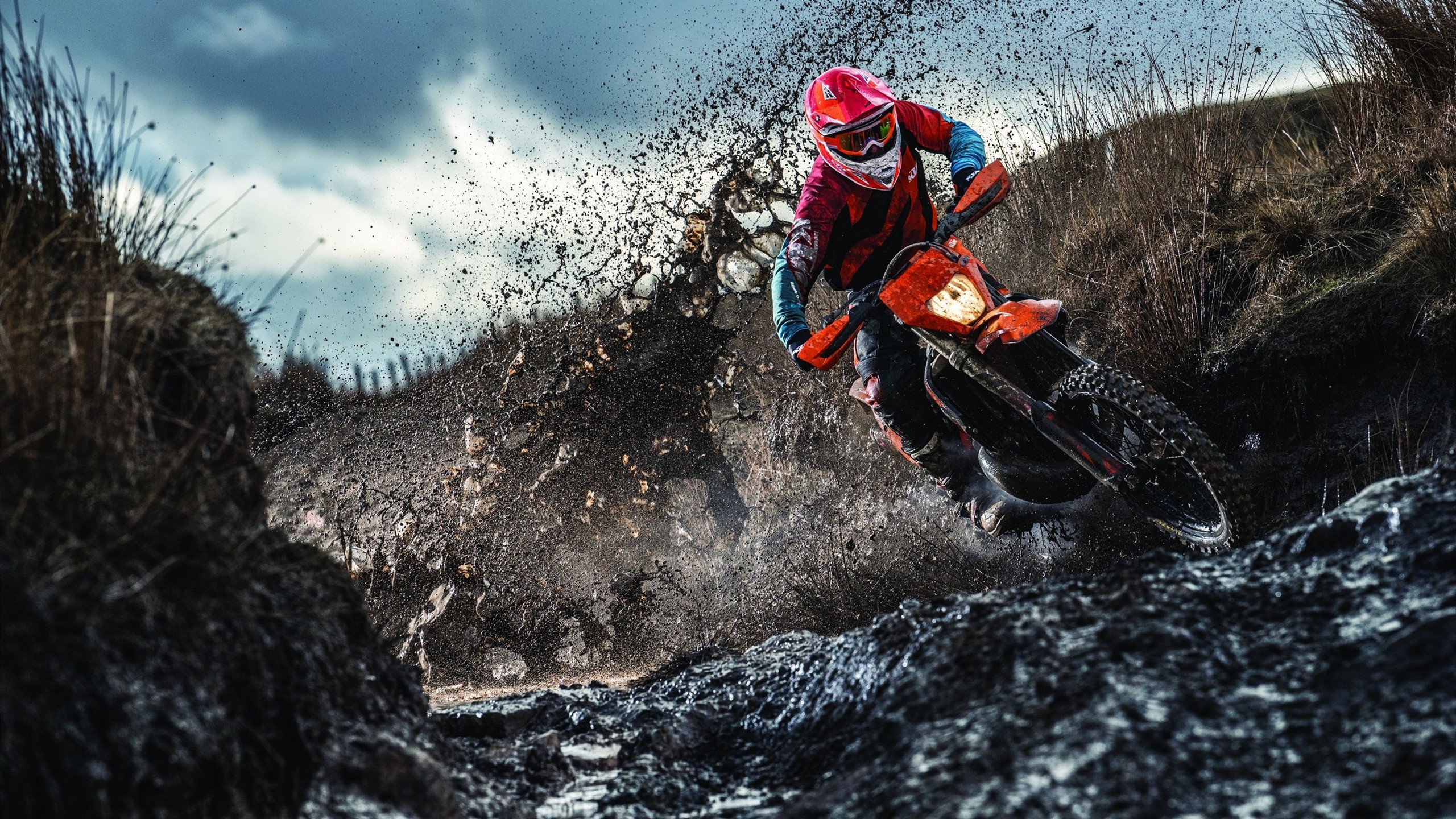 2026年世界青少年游泳锦标赛 中国队揽下多个奥运主项金牌