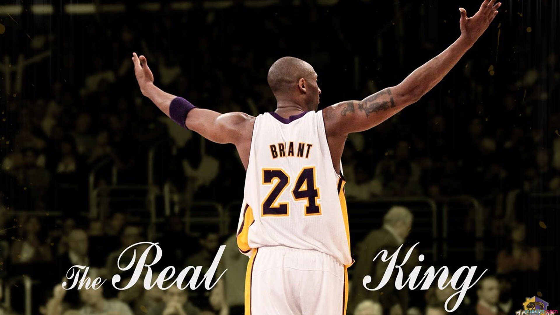 中国击剑2026年升级国家青年裁判培训计划